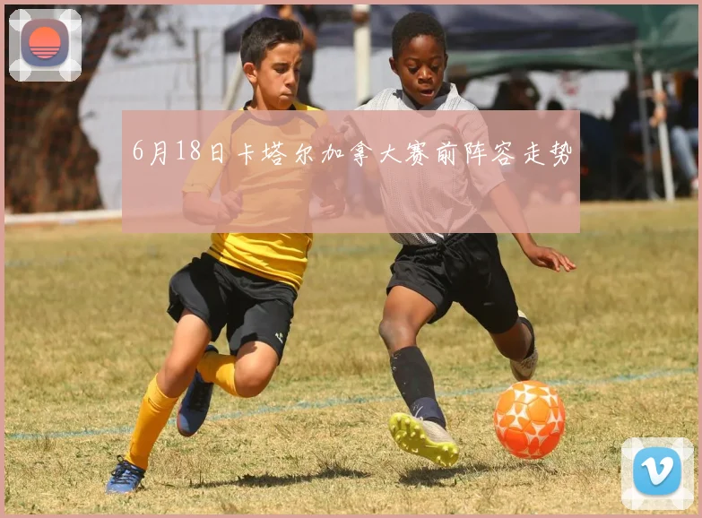 6月18日卡塔尔加拿大赛前阵容走势