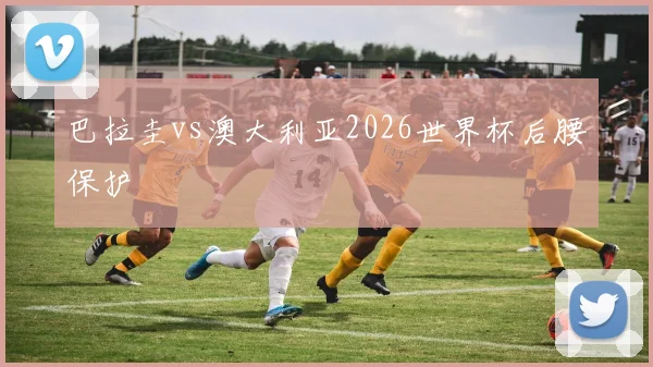 巴拉圭vs澳大利亚2026世界杯后腰保护