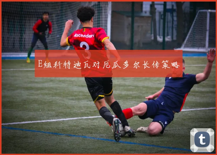 E组科特迪瓦对厄瓜多尔长传策略