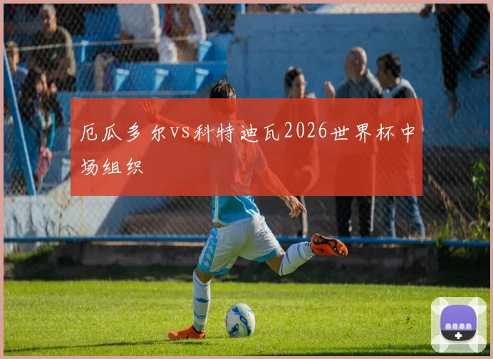 厄瓜多尔vs科特迪瓦2026世界杯中场组织